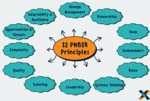 Illustration of the 12 PMBOK principles, emphasizing stewardship, team collaboration, and stakeholder engagement