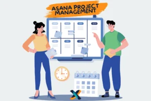 Asana project management workflow with team collaboration and task organization.