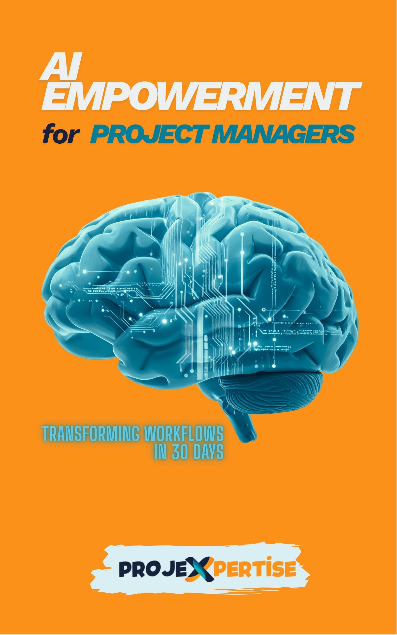 AI Empowerment for Project Managers Book Cover